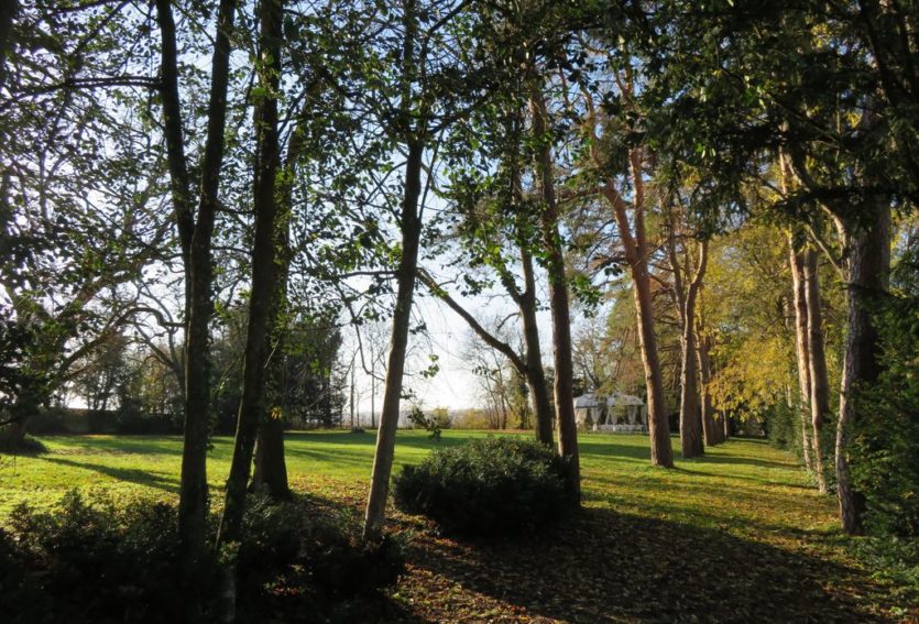 Château avec 4 gîtes dans un parc de 5 ha proche de Vichy.