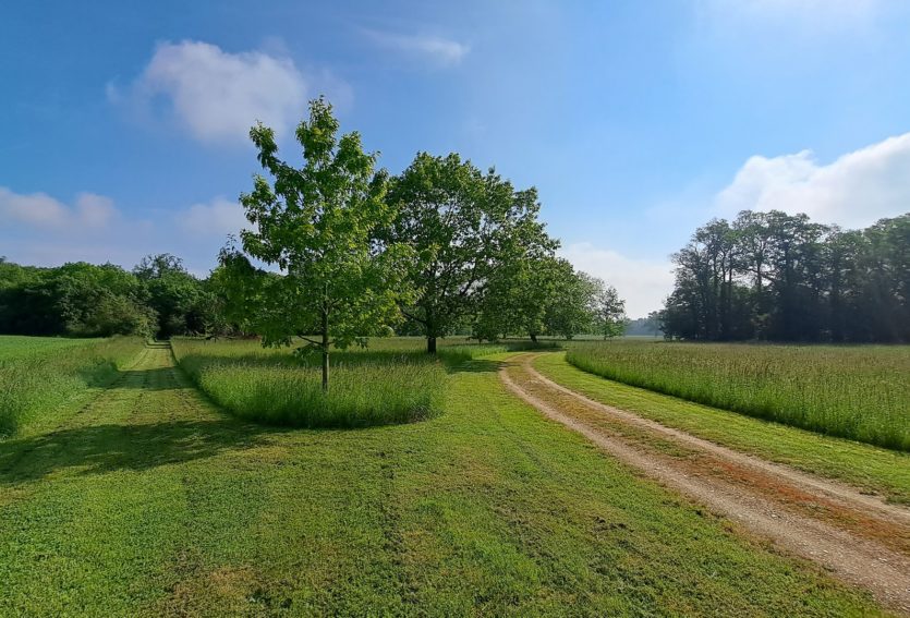 Château des XVIIIe et XIXe siècles avec dépendances dans le Cher
