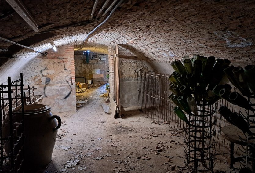 Château d’époque Napoléon III avec dépendances et parc de 8,43 ha.