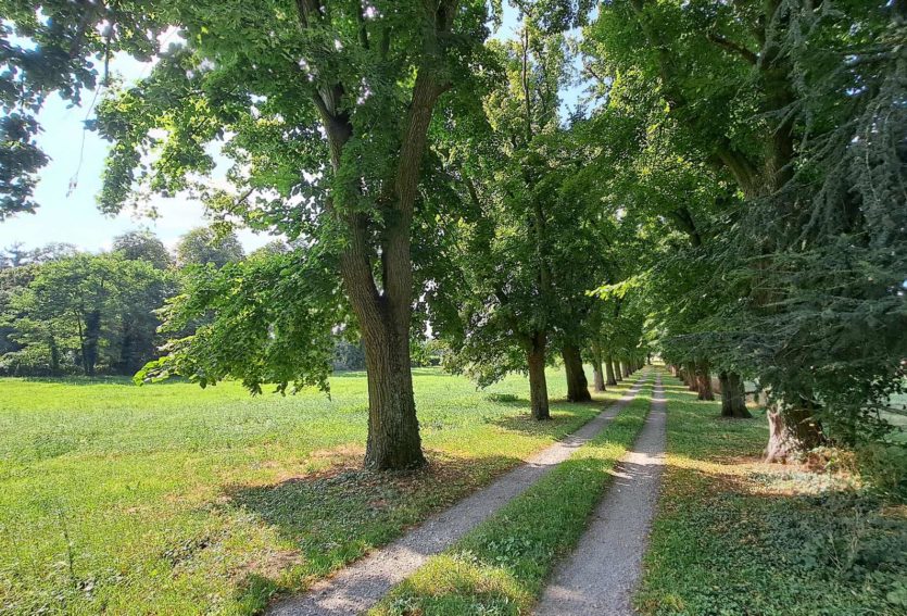 Château XIXe avec maison annexe et dépendances dans un parc de 12 ha.
