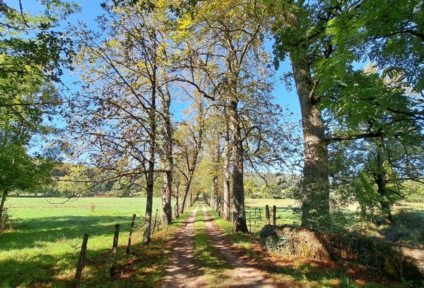 Château avec maison annexe et dépendances dans le Lot.