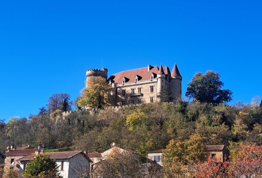 Exceptionnel château ISMH avec dépendances et parc de 5,53 ha.