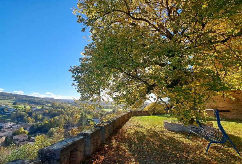 Exceptionnel château ISMH avec dépendances et parc de 5,53 ha.