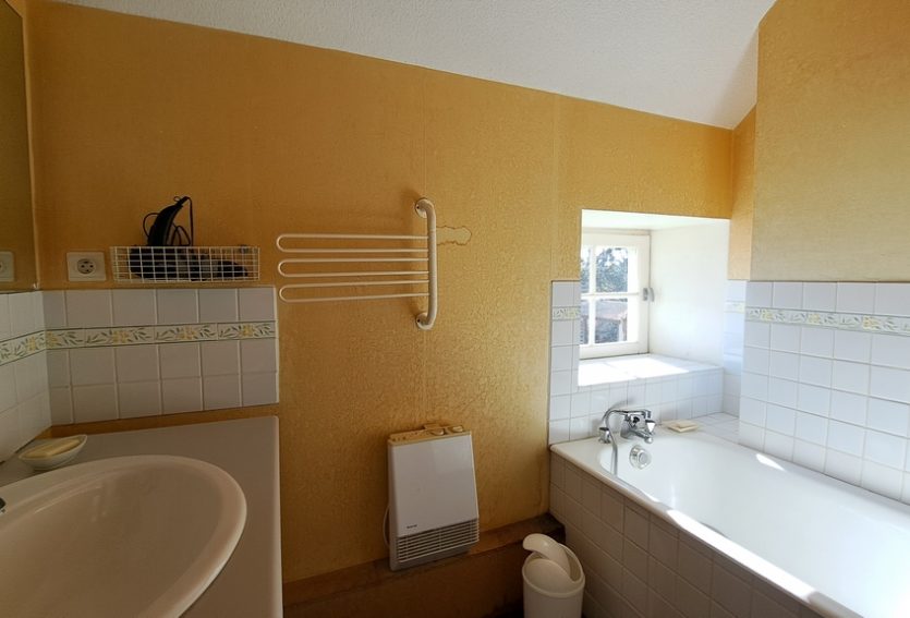 Demeure XIXe avec dépendances dans un parc de 1 ha.