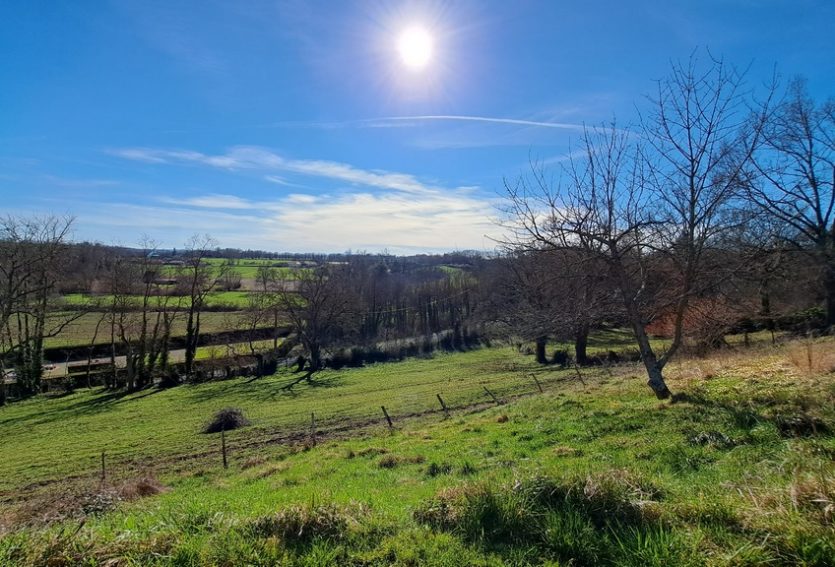 Demeure XIXe avec dépendances dans un parc de 1 ha.
