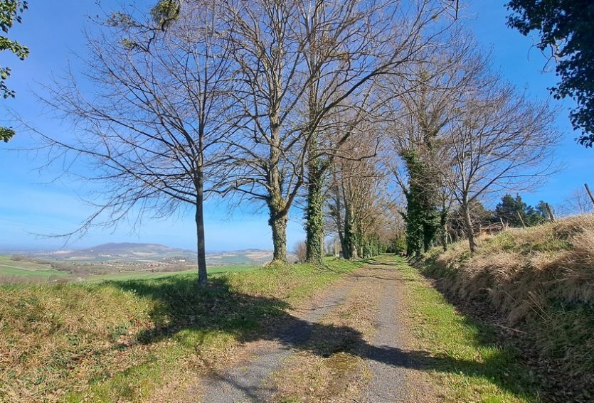 Château de 632 m² avec dépendances dans un parc de 2,06 ha.