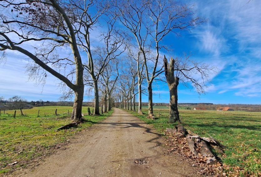 Château des XVIe et XIXe siècles à vocation touristique.