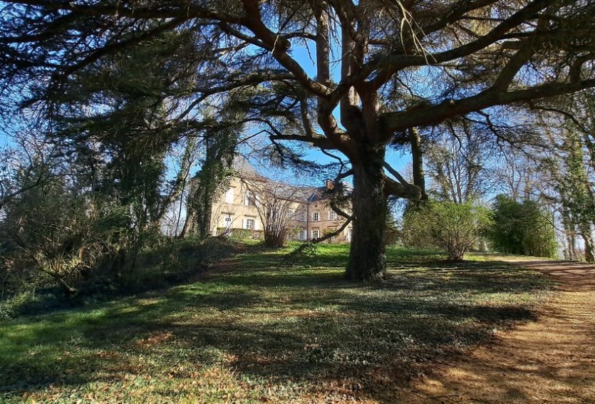 Château de 632 m² avec dépendances dans un parc de 2,06 ha.